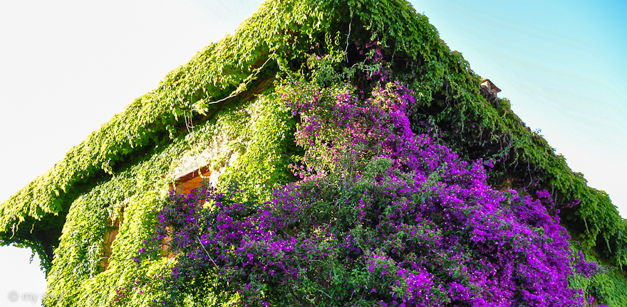 Sardinia
